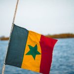 Quelle activité pour faire de l'argent au Sénégal ?