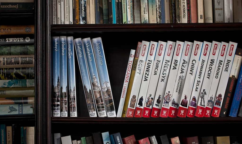 Guides de voyage alignés sur une étagère de bibliothèque