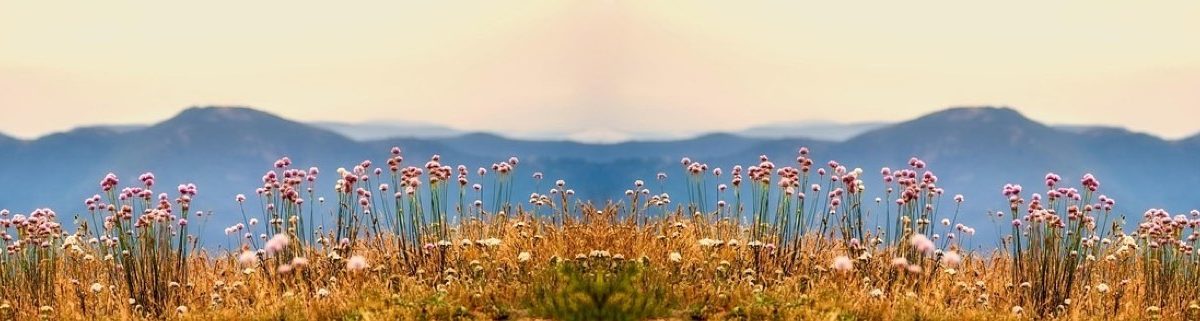 Ateliers et ressources - tête de rubrique