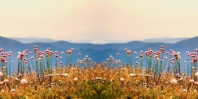 Ateliers et ressources – tête de rubrique