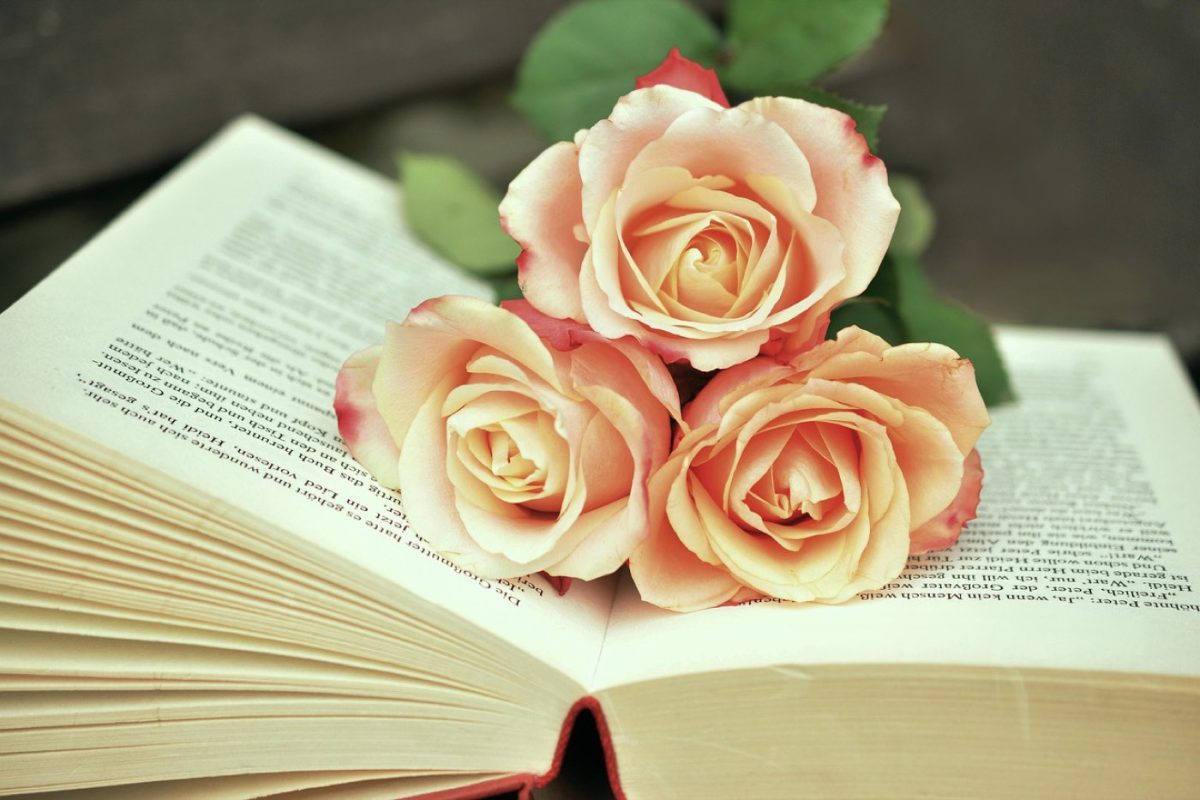 Folio ou autres poches : quel format choisir pour voyager