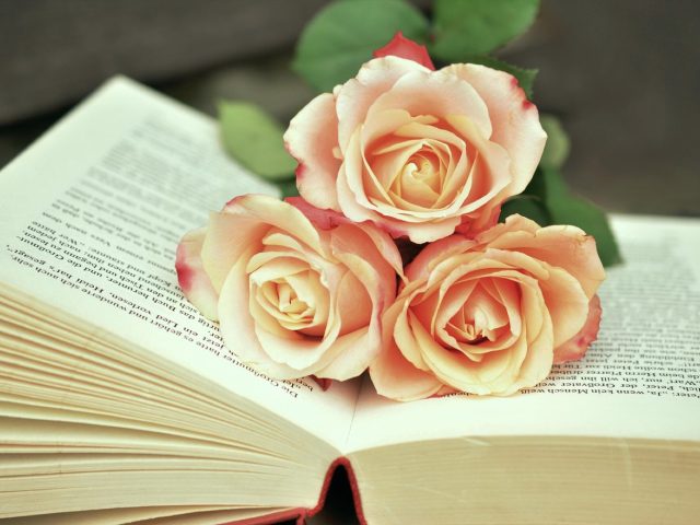 Folio ou autres poches : quel format choisir pour voyager