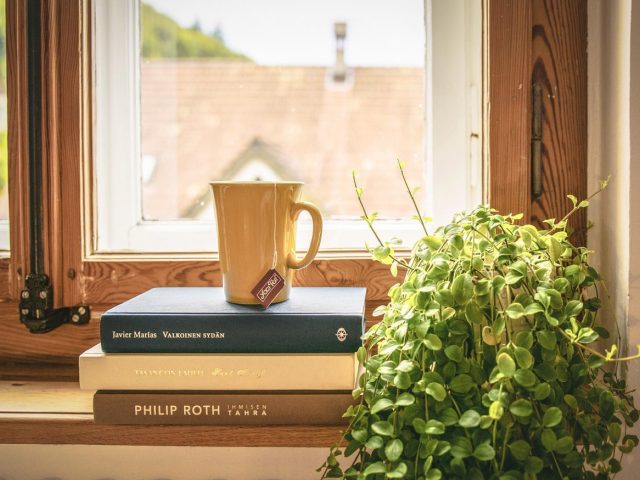 Conserver un rythme de lecture en voyage