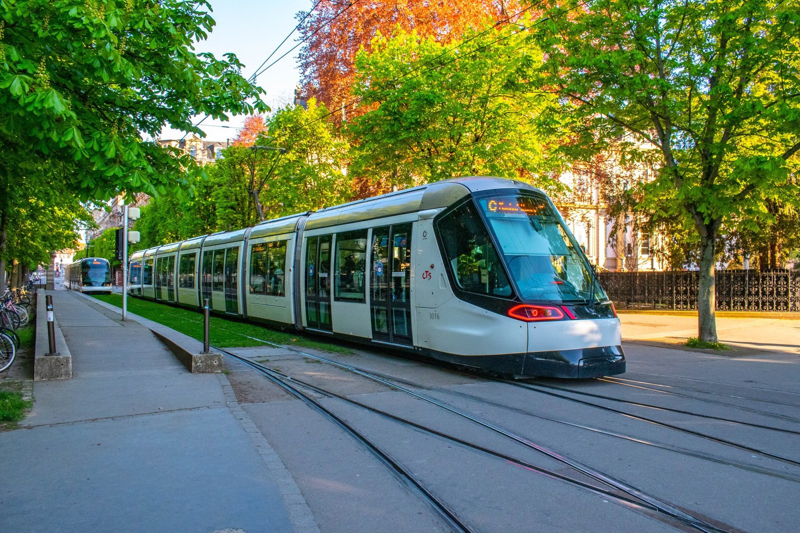 Tramway blanc circulant sur une voie engazonnée entre des arbres, dans une rue de Strasbourg