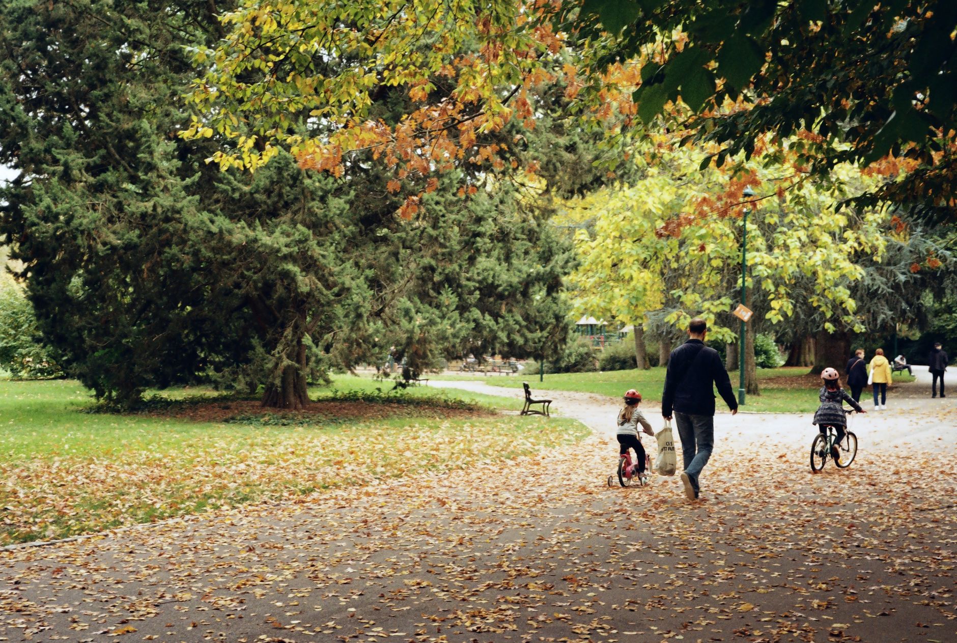 Un père marche dans un parc d'automne aux feuilles tombées pendant que deux enfants à vélo, casque sur la tête, roulent devant lui